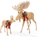 5ft 2-Piece Moose Family Lighted Outdoor Christmas Decor Set with LED Lights for festive seasonal decorating